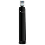 Фильтр от сероводорода Ecosoft FPC1665CT