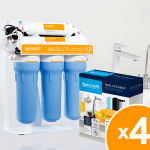 Годовой Запас Картриджей ECOSOFT ABSOLUTE для Фильтра Обратного Осмоса (БЕЗ МИНЕРАЛИЗАТОРА)